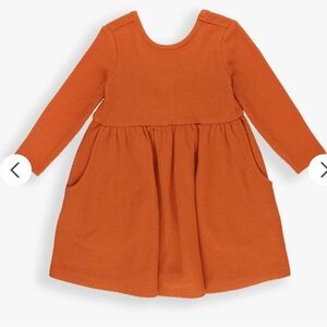 Ruffle Butts Rust Waffle Knit Long Sleeve Twirl Dress